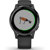 Garmin vivoactive 4S: Picture 5 thumbnail
